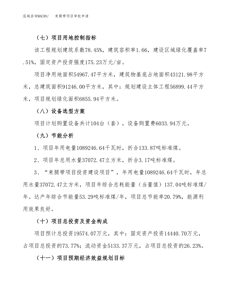 束腿带项目审批申请（总投资20000万元）.docx_第3页