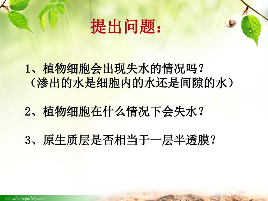 洋葱鳞片叶表皮细胞的质壁分离与分离的可行实验_第4页