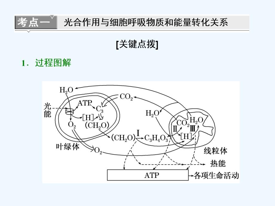 （江苏专版）2019版高考生物一轮复习 第一部分 分子与细胞 第三单元 细胞的能量供应和利用 第三讲 第3课时 光合作用与细胞呼吸的关系_第3页