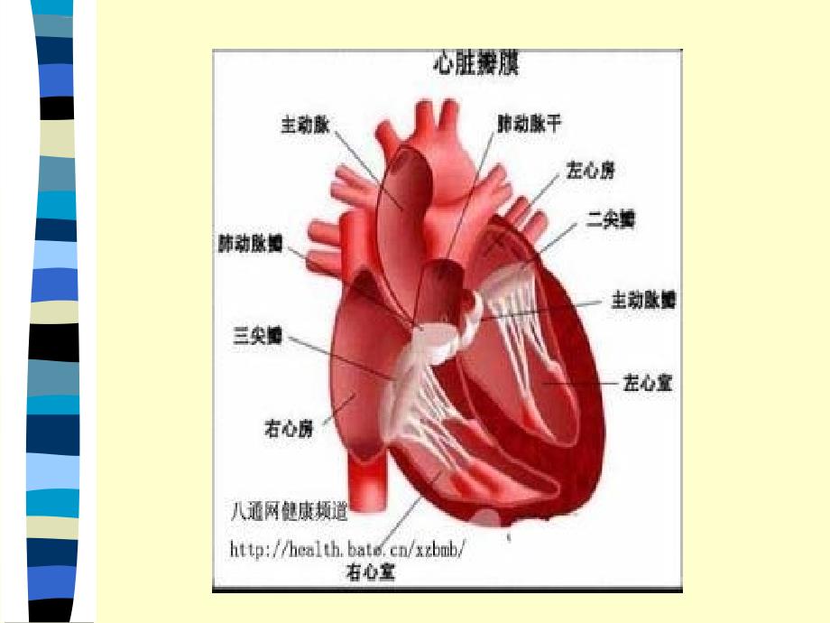 内科护理学课件心脏瓣膜病_第4页