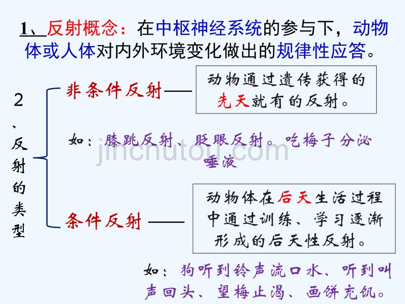 （教育精品）人体生命活动的神经调节_第4页