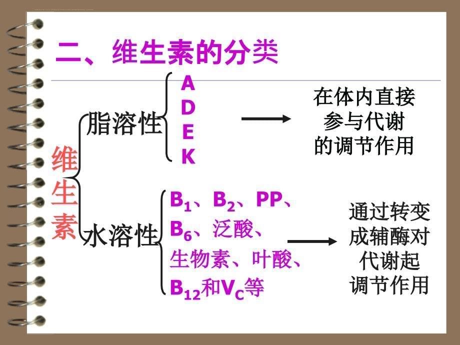 第四章维生素与辅酶ppt课件_第5页