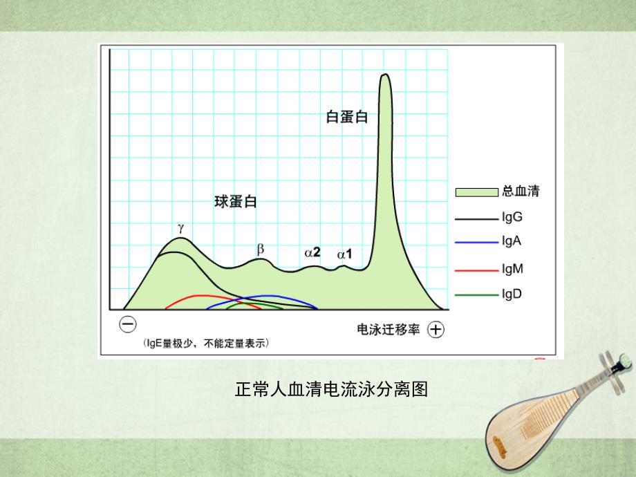 B细胞和抗体原理_第2页