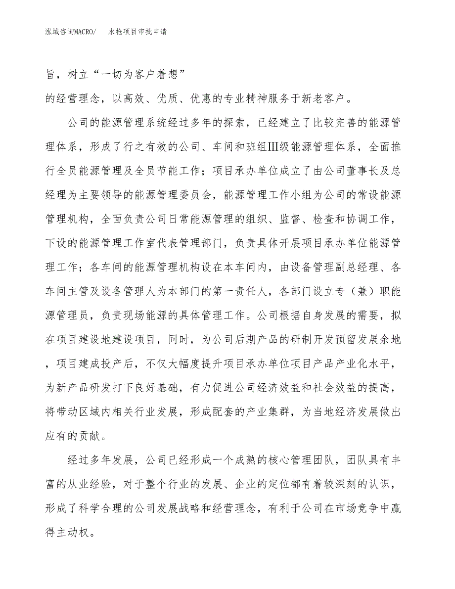 水枪项目审批申请（总投资19000万元）.docx_第2页