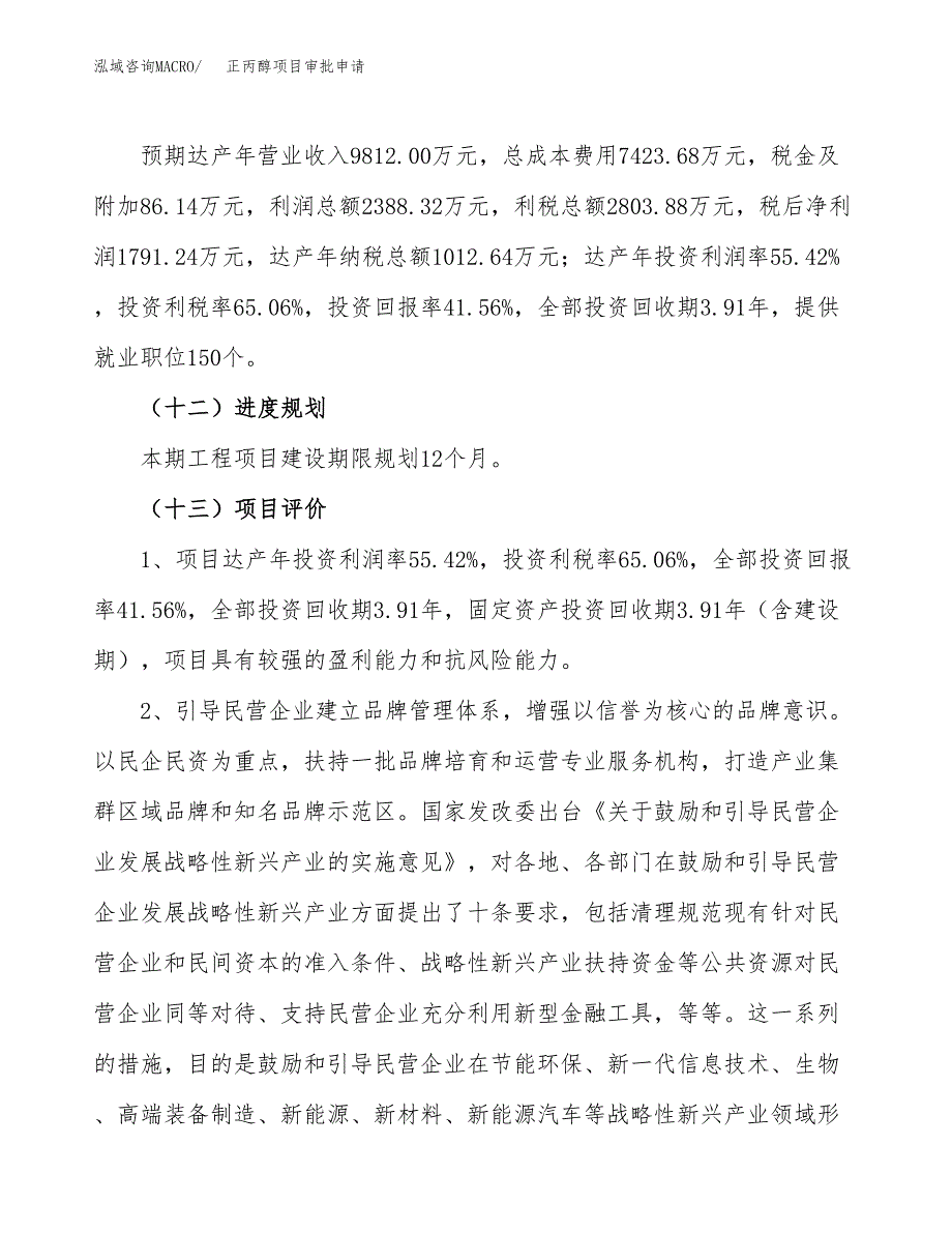 正丙醇项目审批申请（总投资4000万元）.docx_第4页