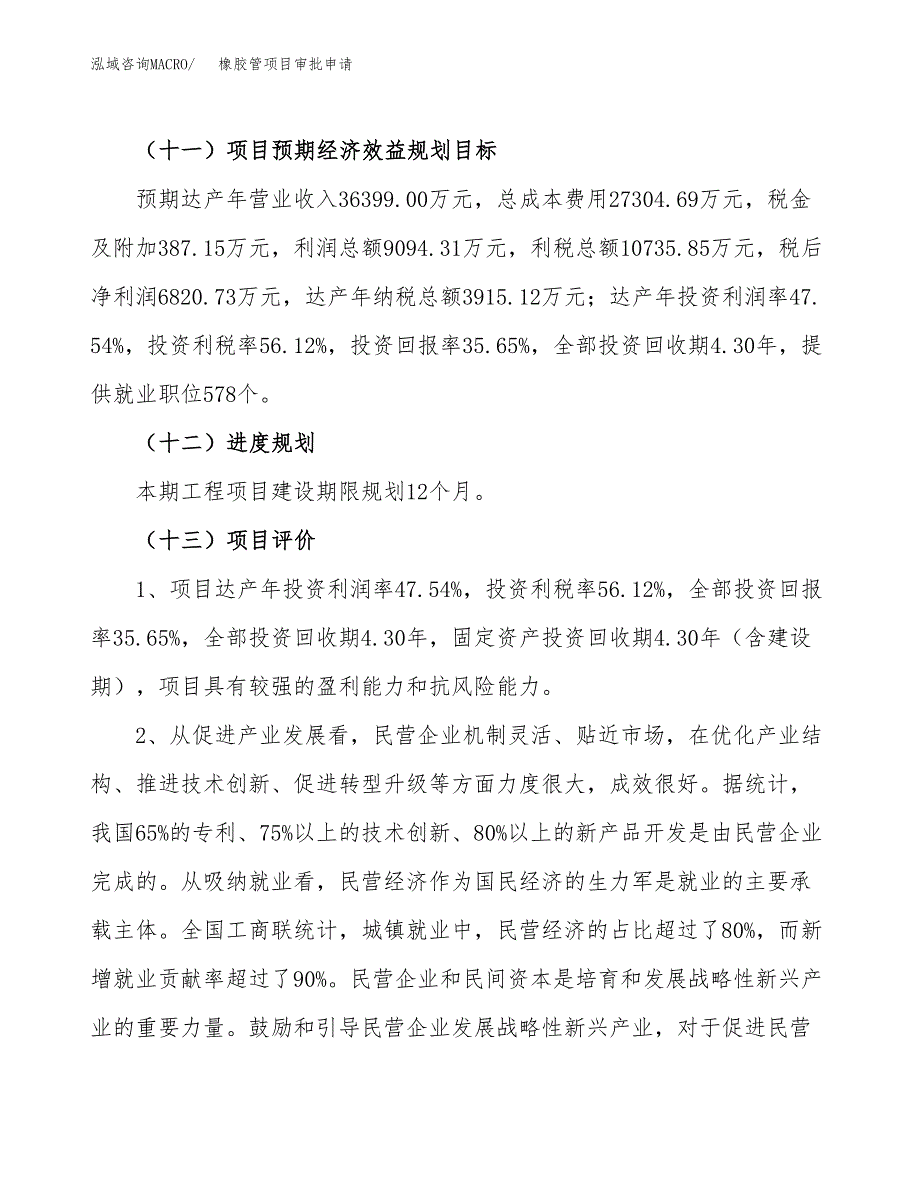 橡胶管项目审批申请（总投资19000万元）.docx_第4页