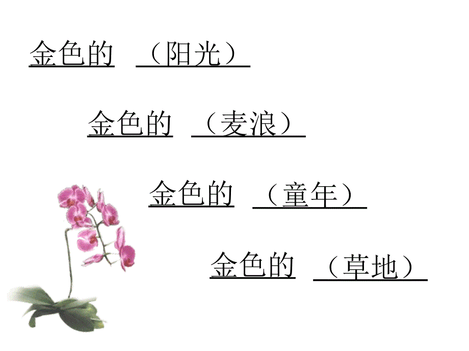 小学语文金色的草地ppt_第2页