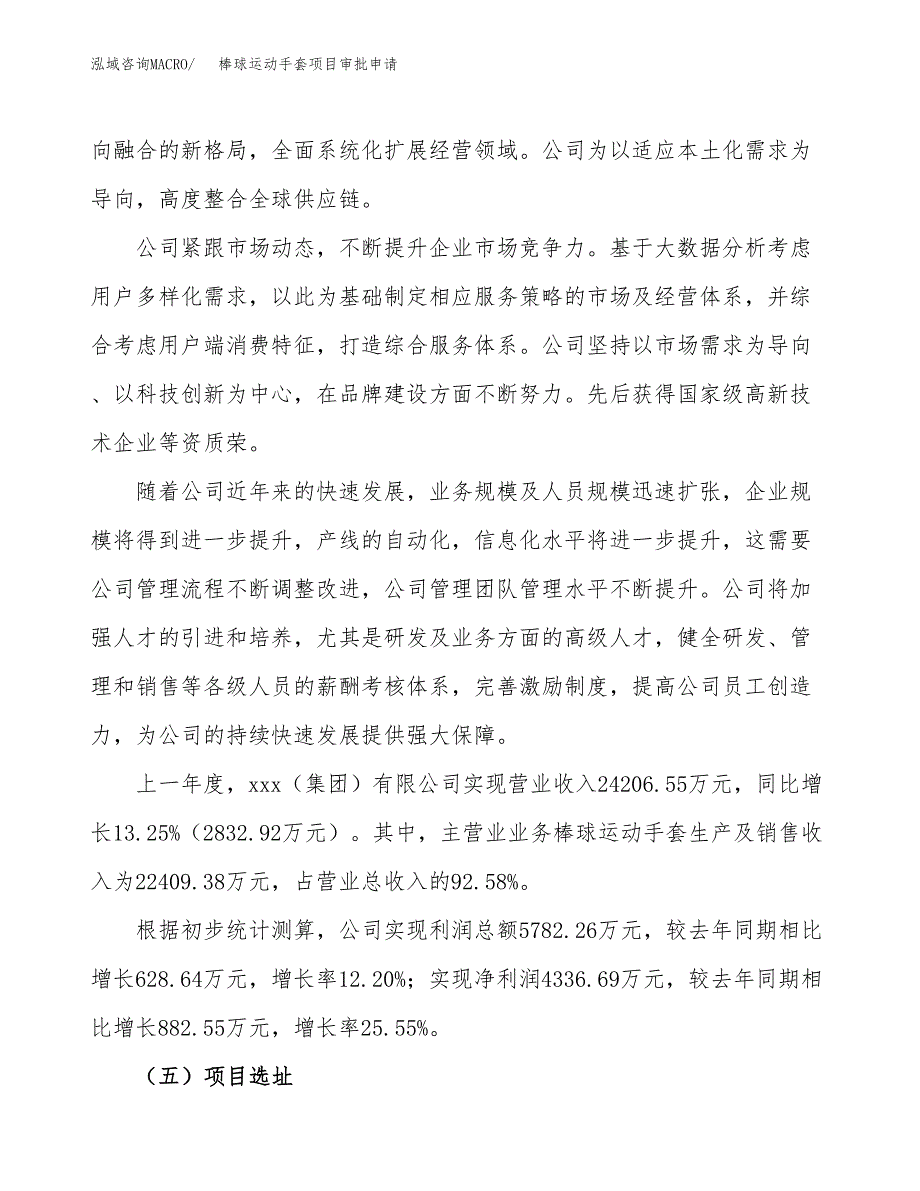 棒球运动手套项目审批申请（总投资14000万元）.docx_第2页