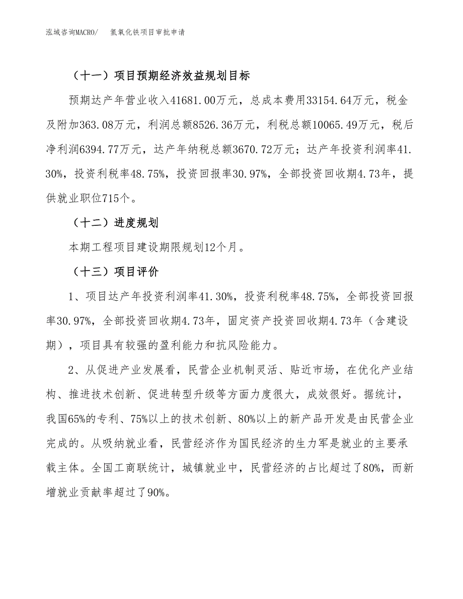 氢氧化铁项目审批申请（总投资21000万元）.docx_第4页