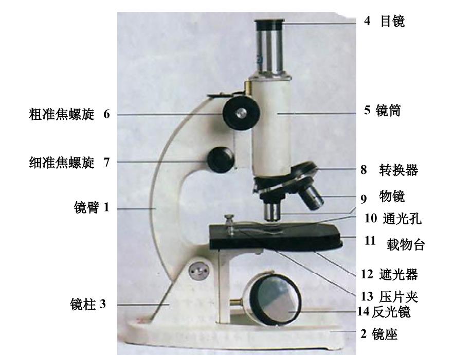 第二单元生物体的结构层次复习资料_第2页