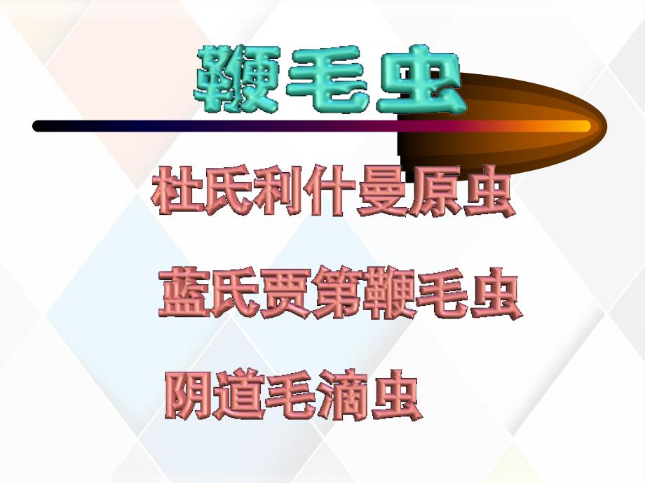 讲解鞭毛虫杜、兰、阴_第1页