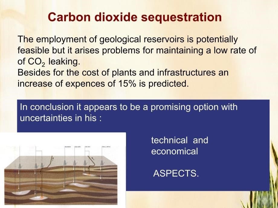 ChemicalChallengesinRenewableenergy在可再生能源化工挑战_第5页