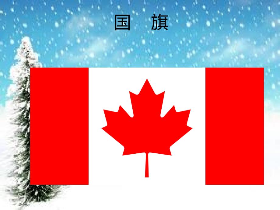 加拿大国际圣诞日(有歌曲)教材_第3页