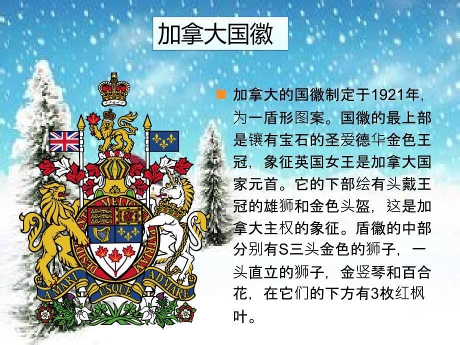 加拿大国际圣诞日(有歌曲)教材_第5页