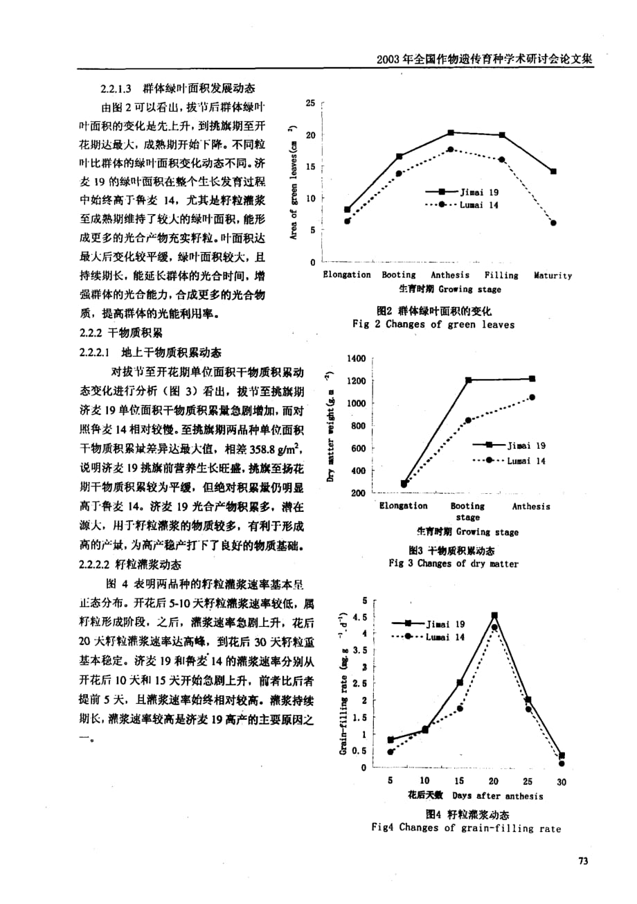 高粒叶比小麦品种济麦19高产机理探讨_第3页