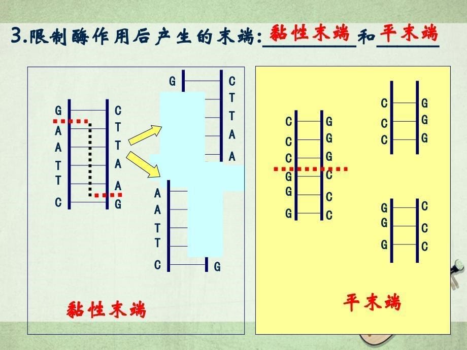 《证券市场分析》中的经济形态理论_第5页