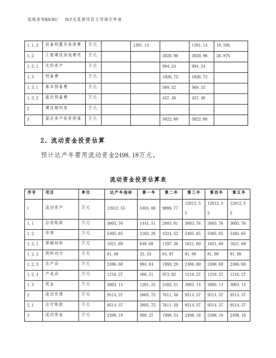 DLP光显屏项目立项请示申请_第5页