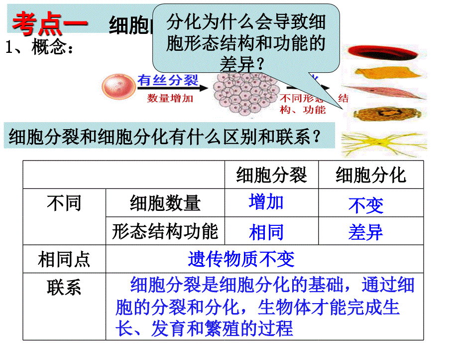 高三生物一轮复习细胞的分化衰老和癌变_第2页