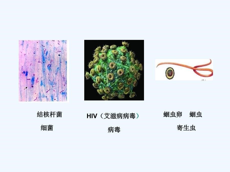 （精品教育）生物人教版初二下册传染病及预防_第5页