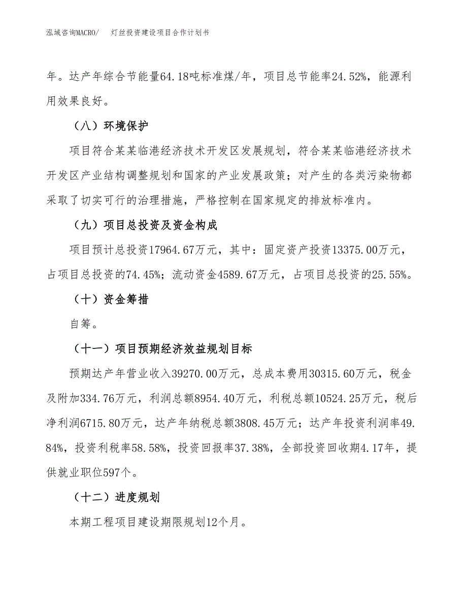 灯丝投资建设项目合作计划书（样本）_第4页