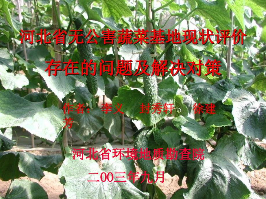 河北省无公害蔬菜基地现状评价存在的问题及解决对策_第1页