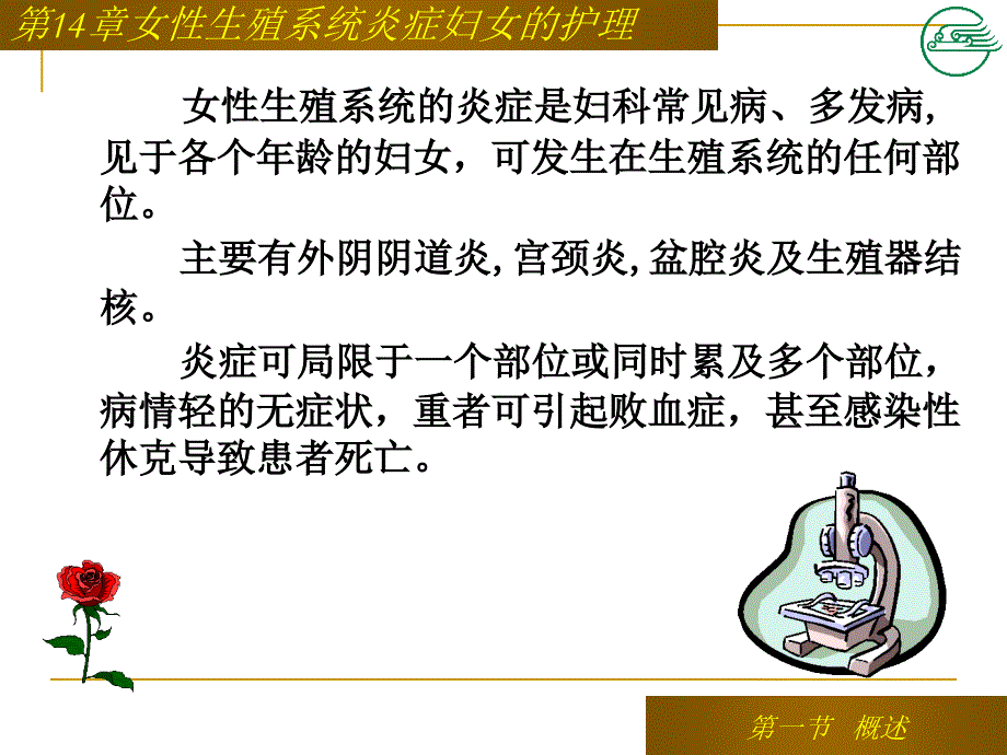 第14章生殖器炎症护理第一节第二节_第4页