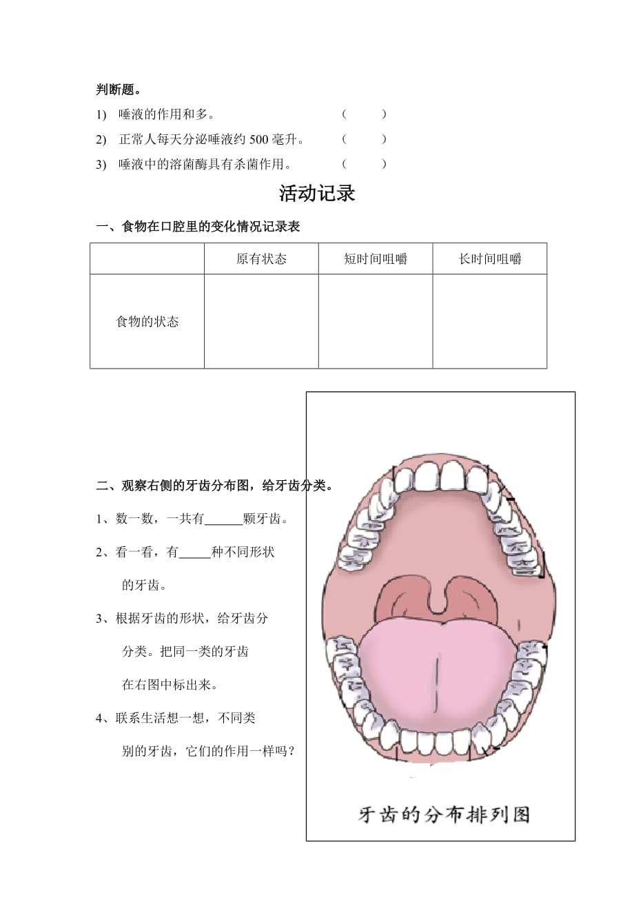 四年级上册科学练习- 4.6 食物在口腔里的变化｜教科版无答案_第2页