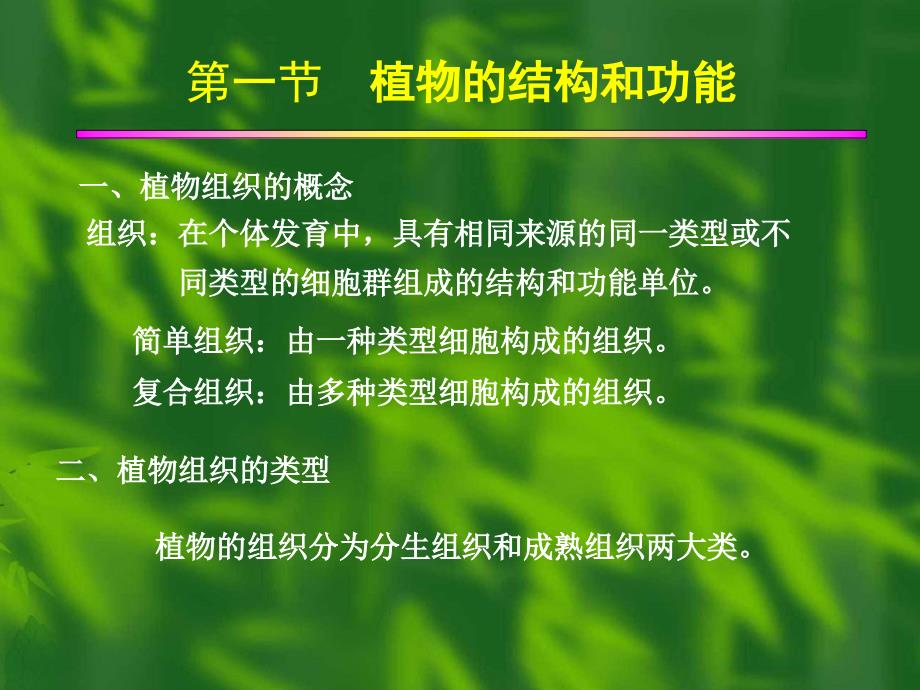 植物组织功能_第1页