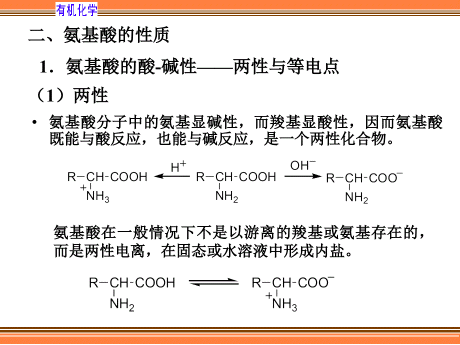 氨基酸多肽蛋白_第4页