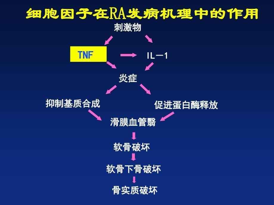 hunanmeeting_第5页