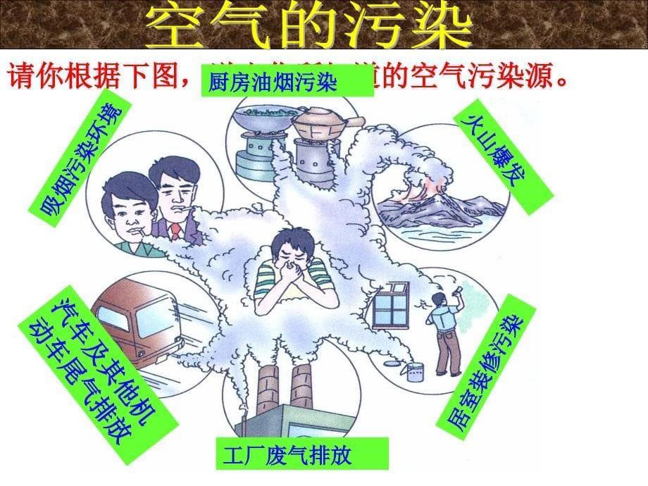 浙教版科学空气污染与保护_第5页