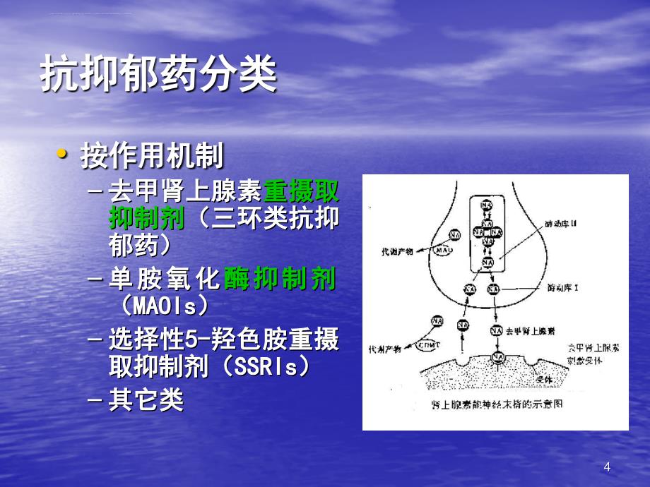 抗抑郁药PPT课件_第4页