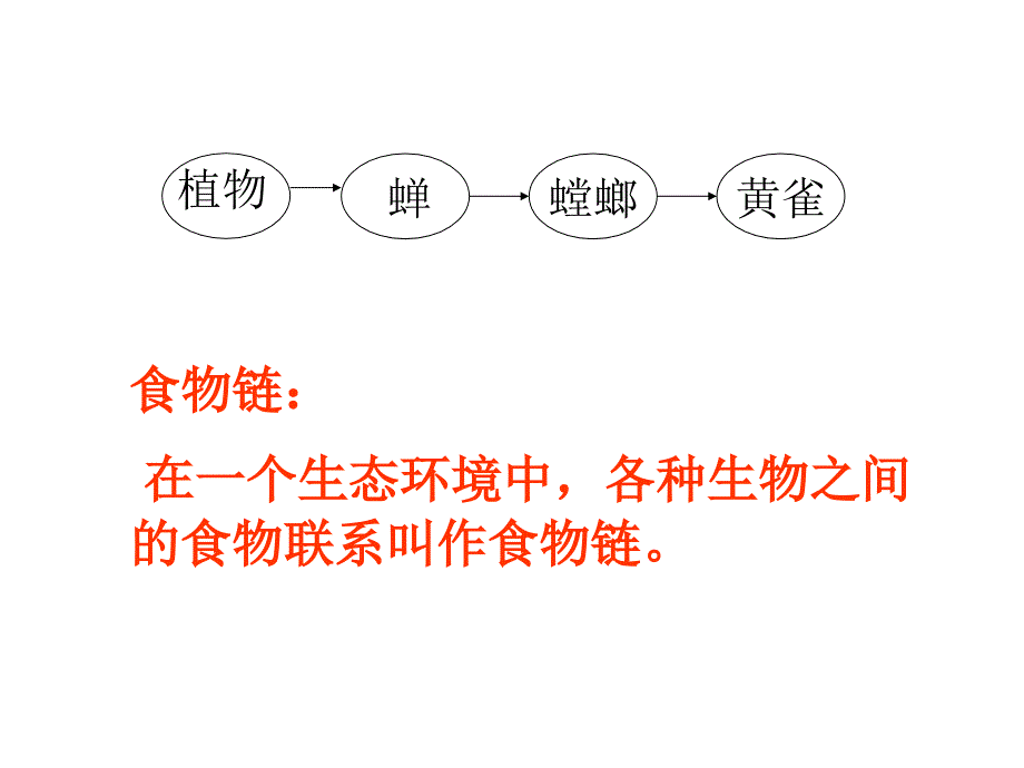 四年级下册科学课件19.密切联系的生物界 青岛版(五年制)_第2页