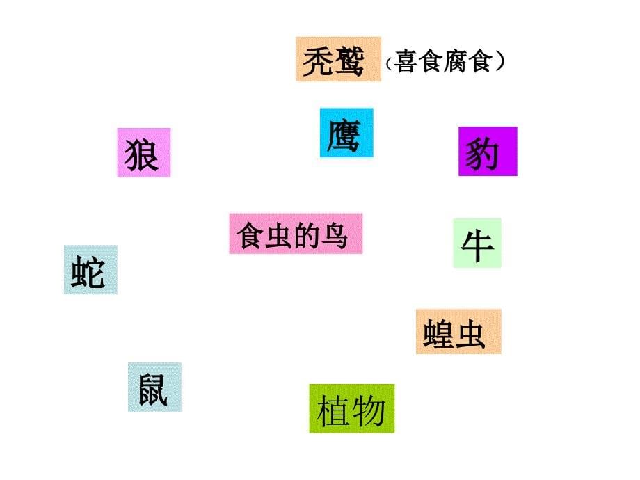 四年级下册科学课件19.密切联系的生物界 青岛版(五年制)_第5页