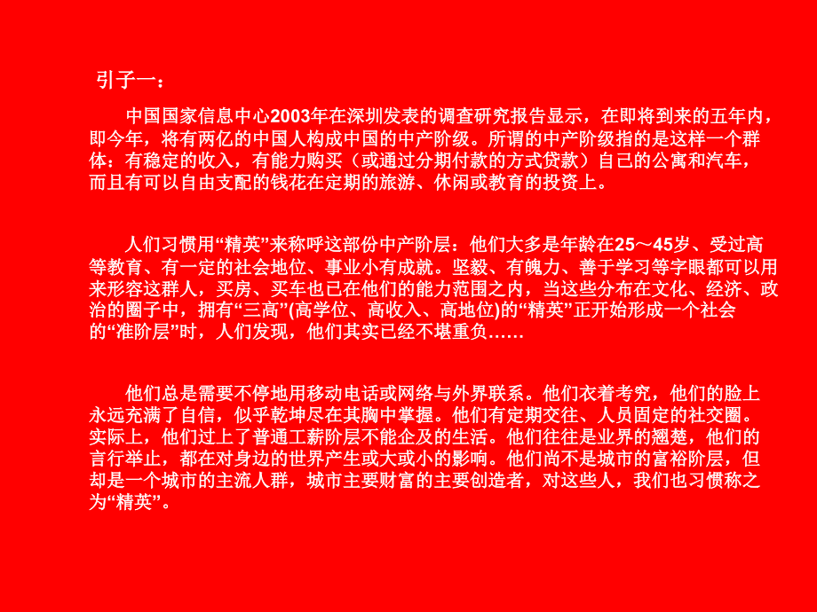 中原惠州苏达实业大亚湾项目地块前期策划提案_第2页