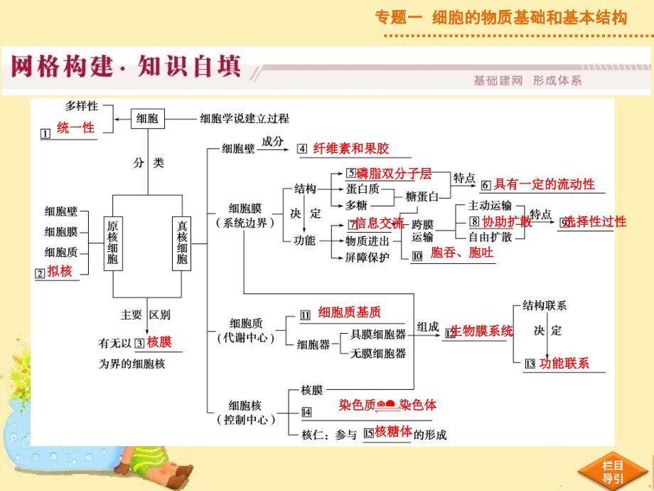 高考生物二轮重点复习专题要点复习课件细胞基本结构定稿_第4页