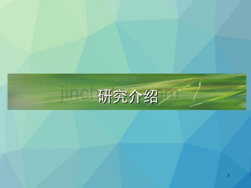 四川成都南部新城项目市场定位研究报告_第3页