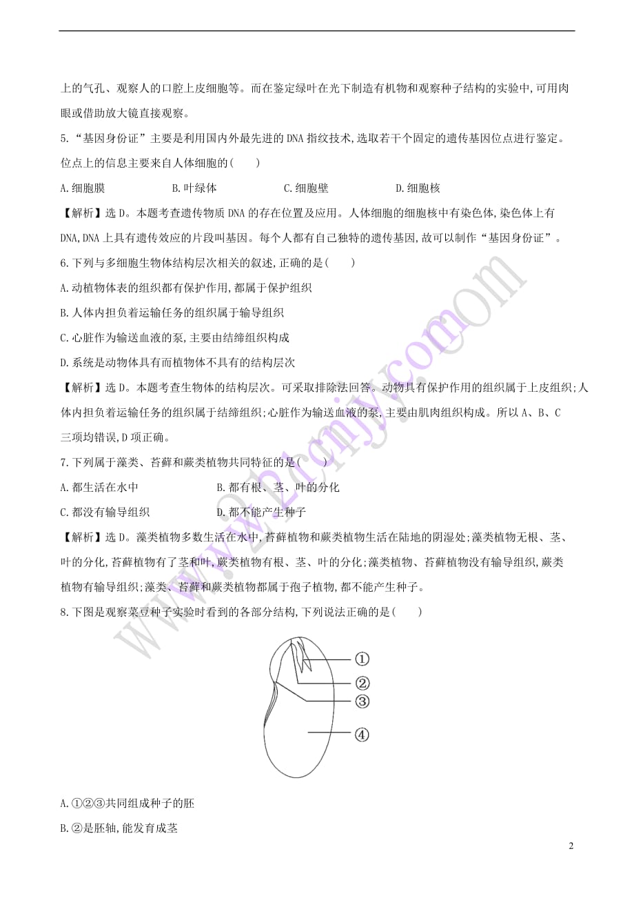 七年级生物上册 综合训练题（第1-3单元）（含解析） 新人教版_第2页