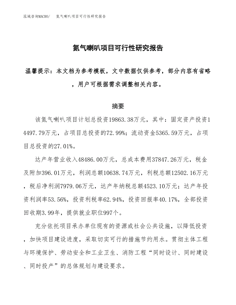 氮气喇叭项目可行性研究报告范本大纲.docx_第1页