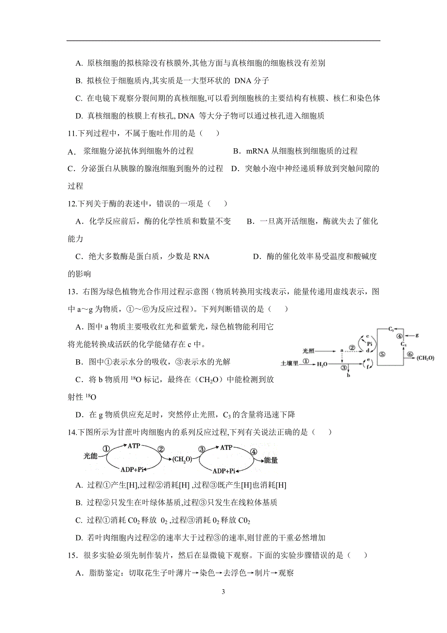 山东省2017学年高三上学期期中考试生物试题（附答案）.doc_第3页