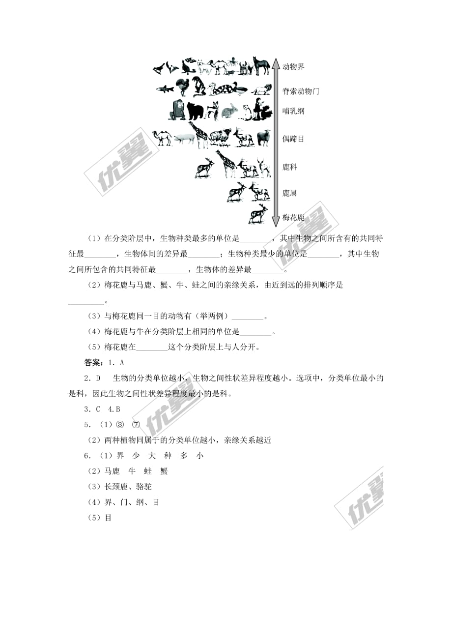 2019春八年级生物下册第7单元 第22章 第1节 生物的分类学案 （新版）北师大版_第4页