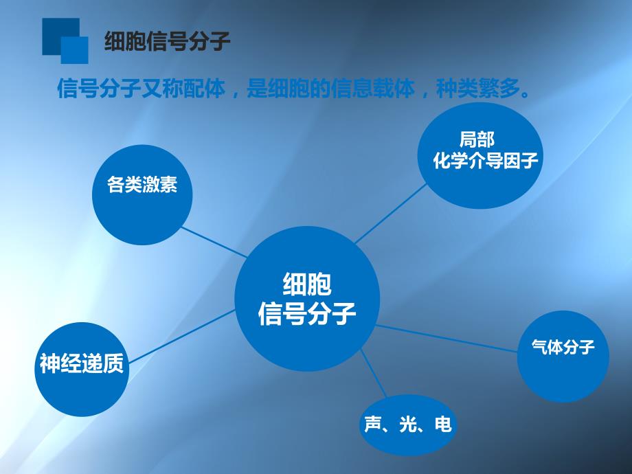 高三要点复习细胞膜要点复习补充细胞信号分子和受体_第2页