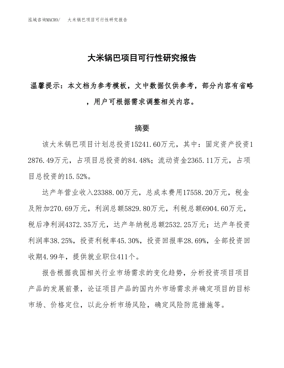 大米锅巴项目可行性研究报告范本大纲.docx_第1页