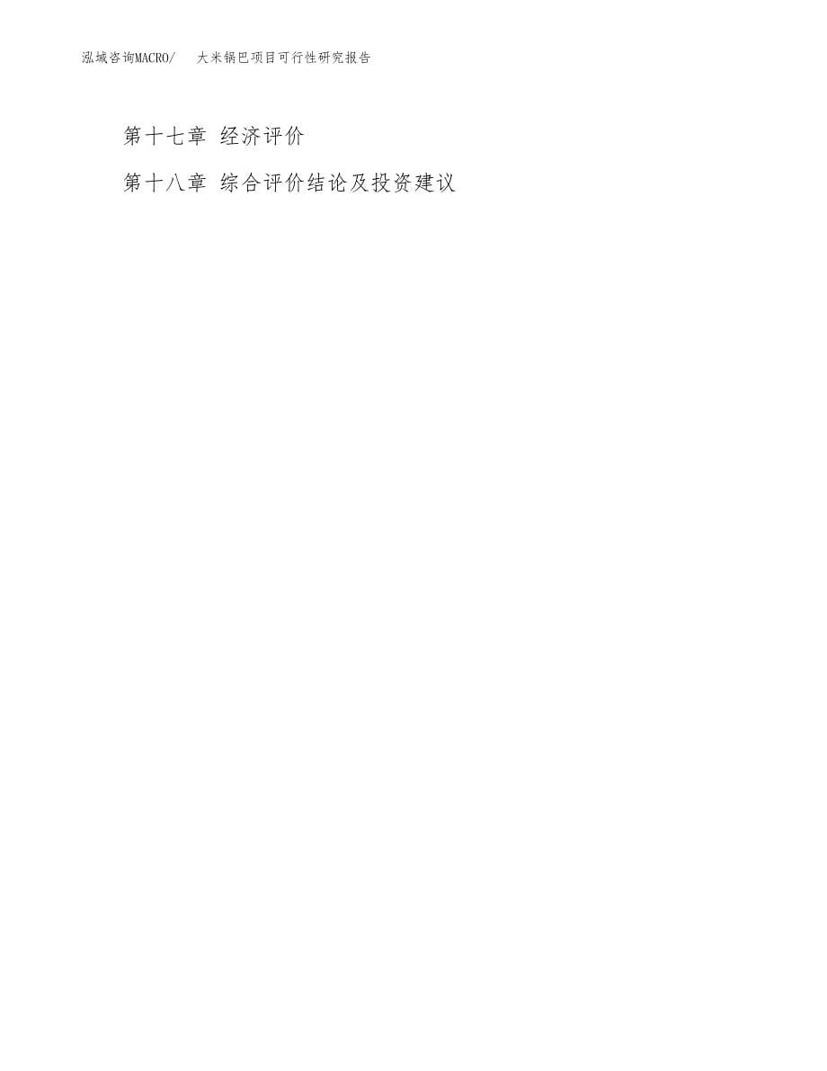 大米锅巴项目可行性研究报告范本大纲.docx_第5页