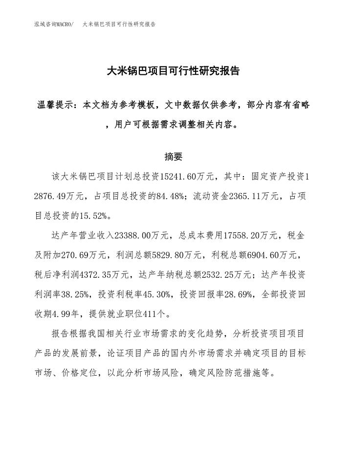 大米锅巴项目可行性研究报告范本大纲.docx