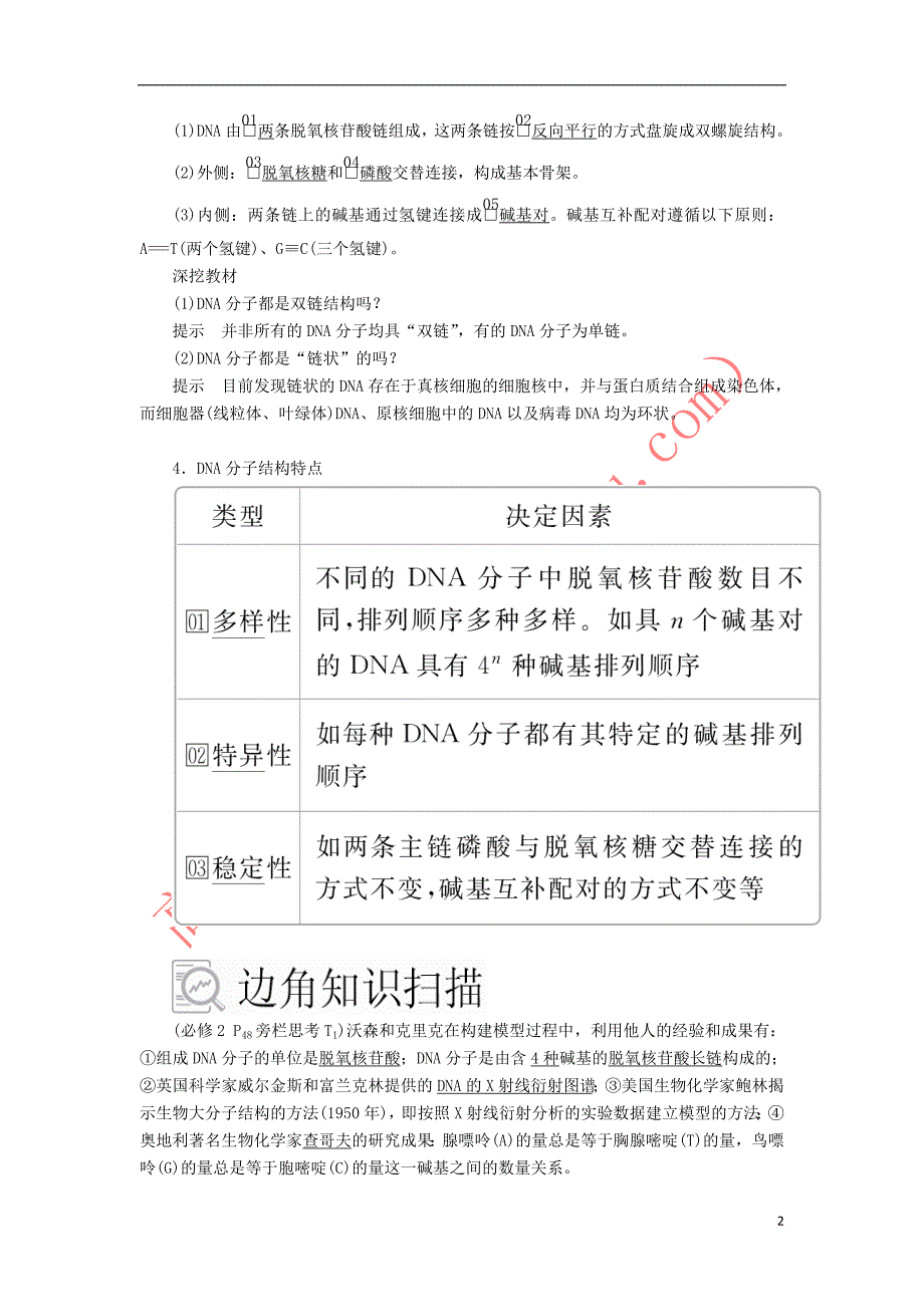 2020年高考生物一轮复习 第6单元 遗传的物质基础 第19讲 DNA分子的结构、复制以及基因的本质学案（含解析）（必修2）_第2页