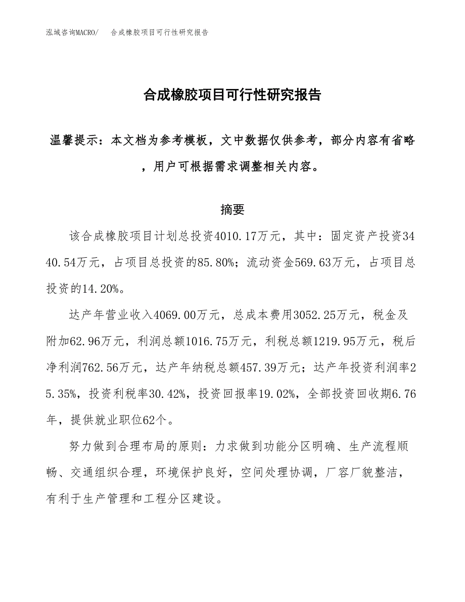 合成橡胶项目可行性研究报告范本大纲.docx_第1页