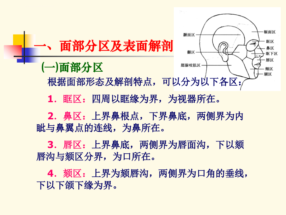 2.面部局部解剖学.ppt_第3页