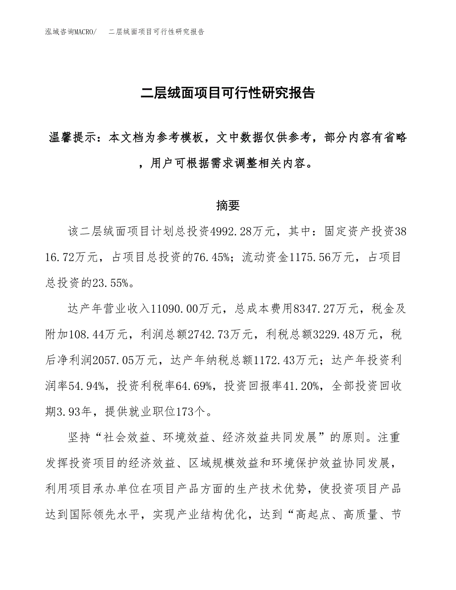 二层绒面项目可行性研究报告范本大纲.docx_第1页