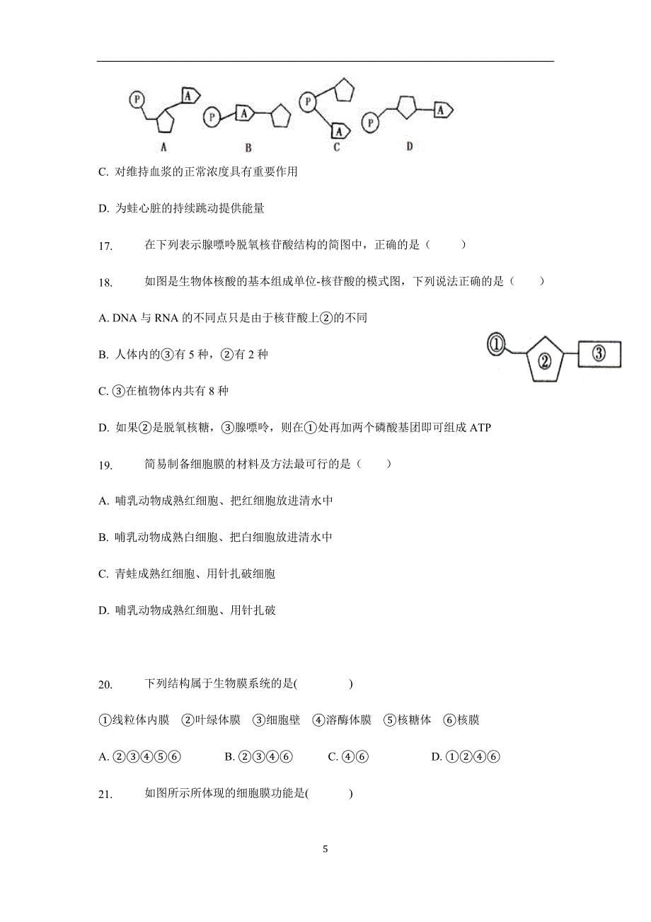 云南民族大学附属中学17—18学学年上学期高一期末考试生物试题（附答案）.doc_第5页